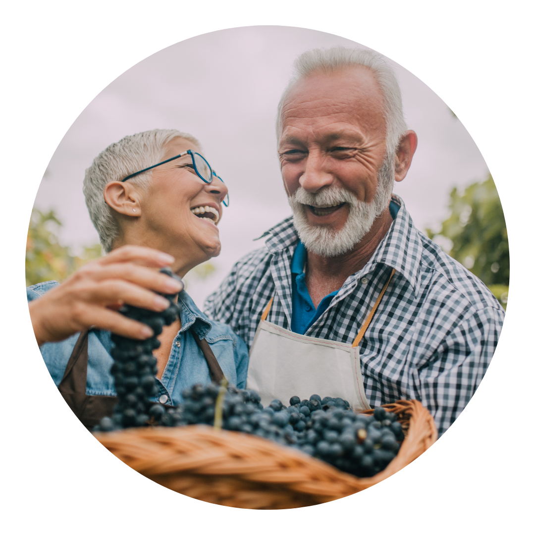 Copy of Copy of Untitled Design (3)