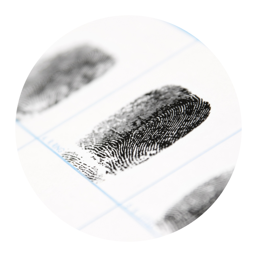 Copy of Copy of Untitled Design